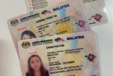 malaysian driving license